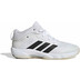 adidas Crazyflight 7 Mid Kids 1