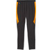 Puma Galatasaray Training Pant 26/27 5