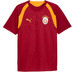 Puma Galatasaray Trainingsshirt 26/27 4