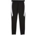 Puma Borussia Mönchengladbach Training Pant 2