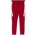 Puma Leipzig pantalon training 26/27 2