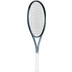 The Indian Maharadja Ravi 300 2