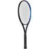 The Indian Maharadja Goi 275 2