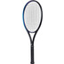 The Indian Maharadja Goi 275 3