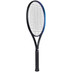 The Indian Maharadja Goi 275 Testracket 2