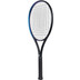 The Indian Maharadja Goi 275 Testracket 3