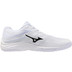 Mizuno Lightning Select 2