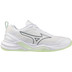 Mizuno Wave Stealth Elite Femmes 1