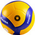 Mikasa V200W-DE 1