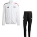 adidas Ajax Pre-Match Tracksuit