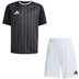 adidas Entrada 26 GFX Trainingsset 1