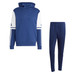 adidas Squadra 25 Sweat Hooded Trainings-Set