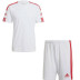 adidas Squadra Training Set