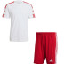 adidas Squadra Trainingsset