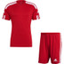 adidas Squadra Trainingsset