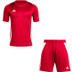 adidas Tiro 24 Trainingsset
