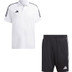 adidas Tiro 23 League Polo Trainingsset
