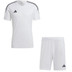 adidas Tiro 23 League Trainingsset