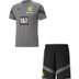 Puma Borussia Dortmund Trainingsset