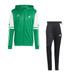 VV Drenthina - adidas Squadra 25 Trainingspak Kids