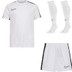 Nike Academy Voetbaltenue Kids