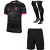 Nike Chelsea 3rd Tenue