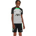 Nike Liverpool Strike Trainingsset Kids