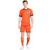 Nike Niederlande Heim Tenue