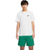 Nike Sportswear Club Zomerset
