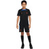 Nike Paris Saint-Germain Strike Trainingsset Kids