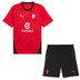 Puma AC Milan Trainingsset