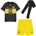 Puma Borrusia Dortmund Uit Tenue