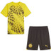 Puma Borussia Dortmund Pre-Match Trainingsset