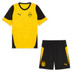 Puma Borussia Dortmund Trainingsset 1