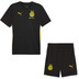 Puma Borussia Dortmund Trainingsset
