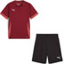Puma GOAL Trainingsset Kids