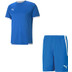Puma LIGA Trainingsset