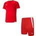 Puma LIGA Trainingsset