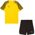 Puma LIGA26 Trainingsset 1