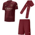 Puma Manchester City 3rd Tenue