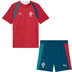 Puma Portugal Trainingsset WK 2026 1