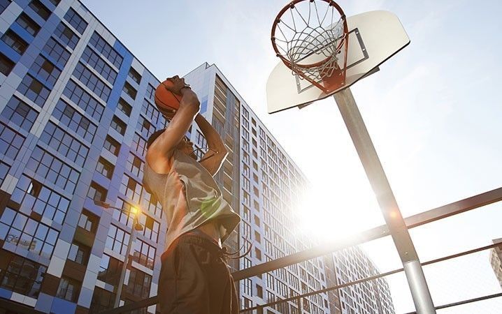 basket