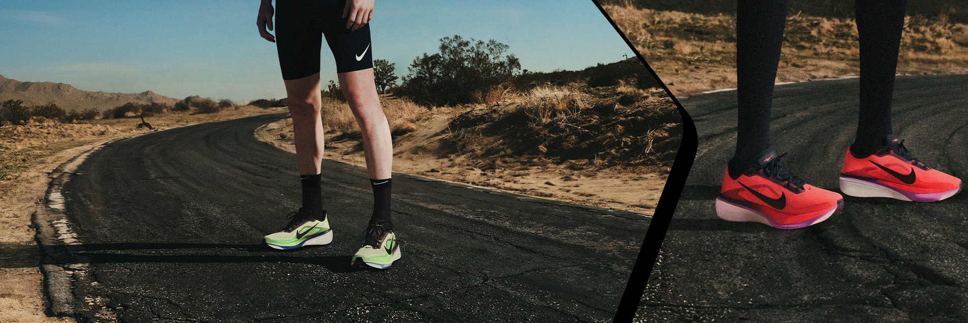Nike Pegasus 42