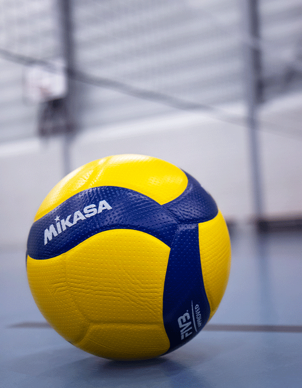 Volleyballs