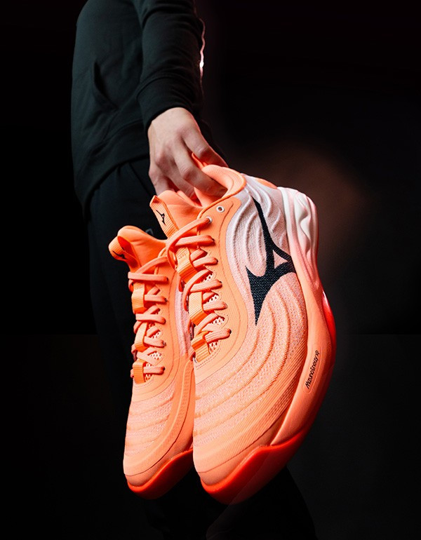 Handbalschoenen