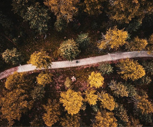 Voordelen van lopen in de herfst